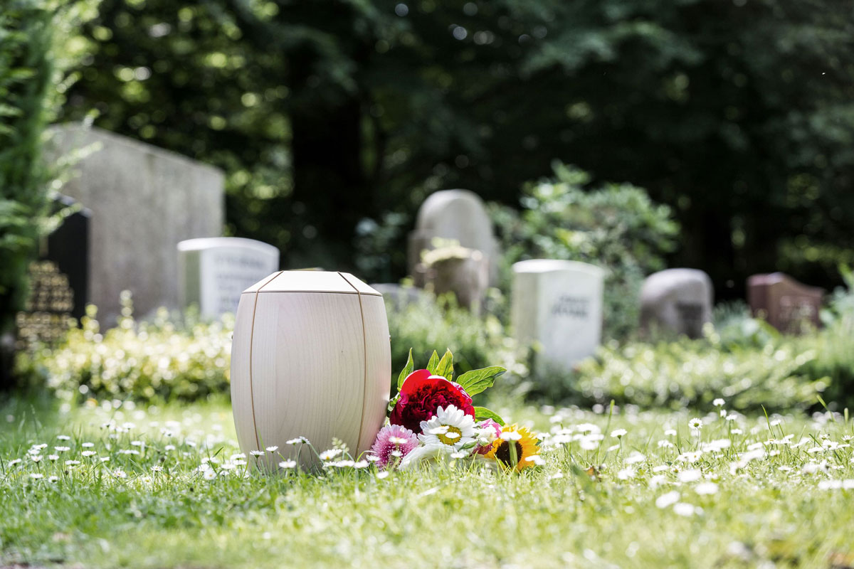 Eine weiße Urne mit Blumenschmuck auf einem Friedhof