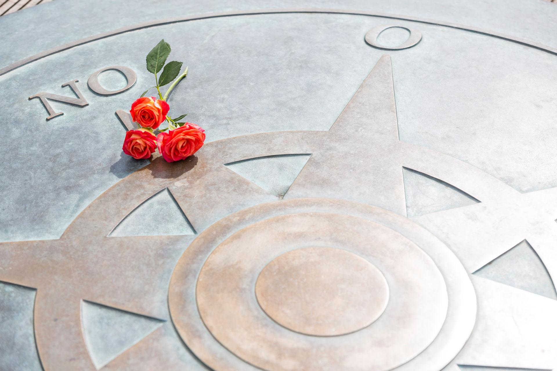 Ein Kompass im Boden auf dem eine rote Blume liegt